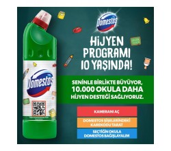 Domestos Çam.Suyu Dağ Esintisi 750 ML 